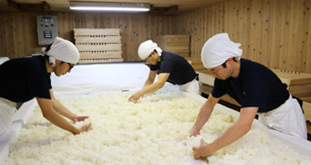 而今 純米大吟醸 白鶴錦 木屋正酒造｜酒乃店もりした｜三重の地酒を取り扱う酒屋